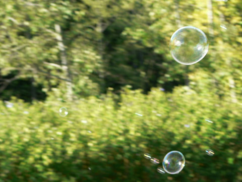 bulles dans le parc.jpg